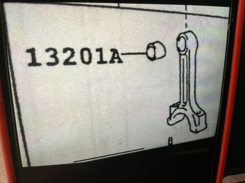 Images/thumbnails/SABUC-10008 (002)KH-thumbnail.jpg